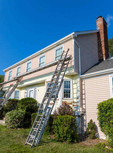 Best Hoarding Cleanup  in South Alamo, TX